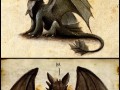 Night fury