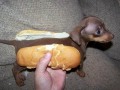 Hot dog
