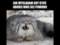 Gdy mnie ktoś obudzi