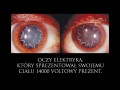 Piękne oczy