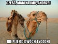 Cześć