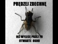 Nie zmusisz mnie