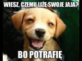 Skocz mi