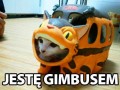 Jestę gimbusę