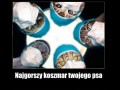 Koszmar