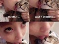 Human