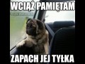 Wciąż pamiętam