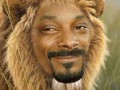 Snoop lion