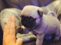 Hi5
