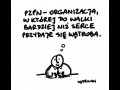 Pzpn