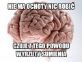 Głupi mózg