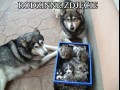 Rodzinka