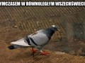 Karma wraca