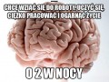 Scumbag brain