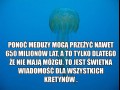 Gratuluję