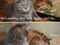 That face