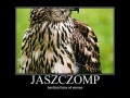 Jaszczomp
