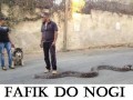 Fafik