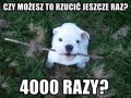 Rzuć