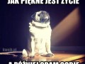 Przemyślenia