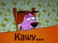 Kawy