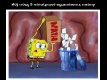 Przed egzaminem