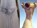 Sid