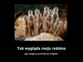 Po kolędzie