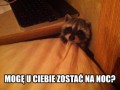 Mogę