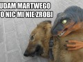 Tak będzie lepiej