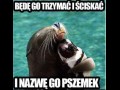 Pszemek