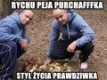Peja