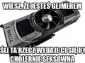 Seksowna bestia