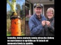Niesamowite