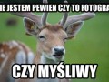 Nie jestem pewien