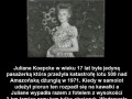 Nieźle