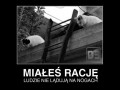 Miałeś rację