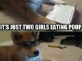 2 Girls 1 cup