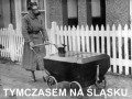 Tymczasem na śląsku