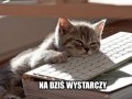 Przerwa w pracy