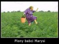 Babcia marysia