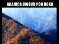 Granica