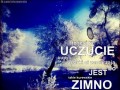 Uczucie