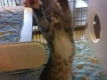Thriller