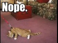 Nope 2