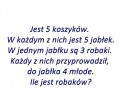 Robaki