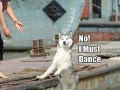I must dance