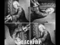 Bachflip