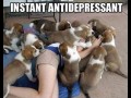 Antydepresanty