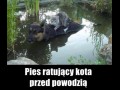 Uratował go